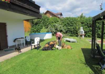 Unsere "Fellosophie" - Pension Sonnleitn Zwiesel - Urlaub mit Hund