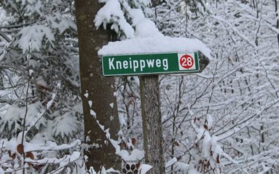 Pfotenschneetour Kneippweg Rabenstein