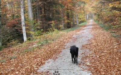 Herbstzeit ist Wanderzeit