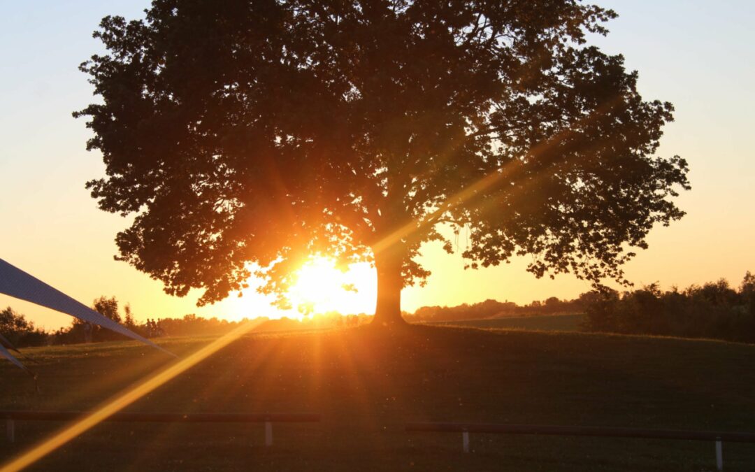 Unsere Veranstaltungen